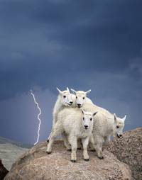 10 Incredible Award-Winning Photos Of Nature